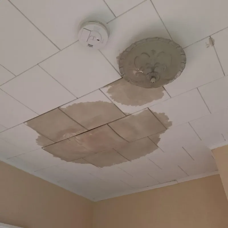 Ceiling Water Damage Repair in Old Greenwich, CT